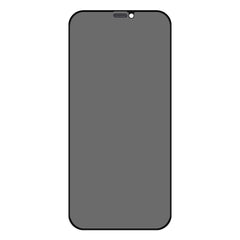 Privacy Tempered Glass for IPHONE XS MAX