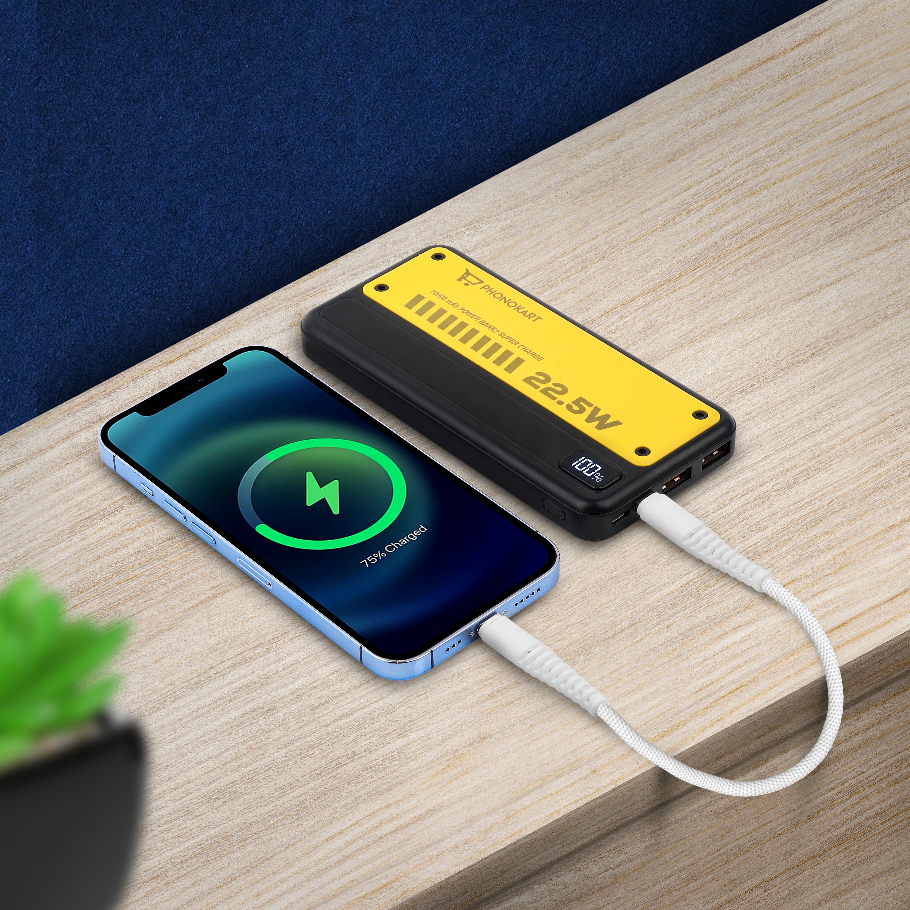 ZAP - 22.5W Fast Charging Powerbank